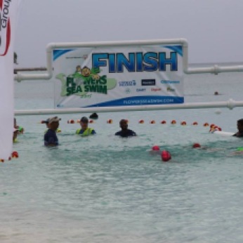 2015 Flowers Sea Swim Finish Line
