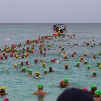 2015 Flowers Sea Swim start line